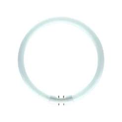 Bombilla Incandescente Regulable 40W/830 FC Tubo Circular T5 2GX13 - Osram