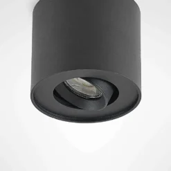 Walisa Lámpara De Techo Black/Clear - Arcchio -Ofertas Flos Tienda 42510965884915