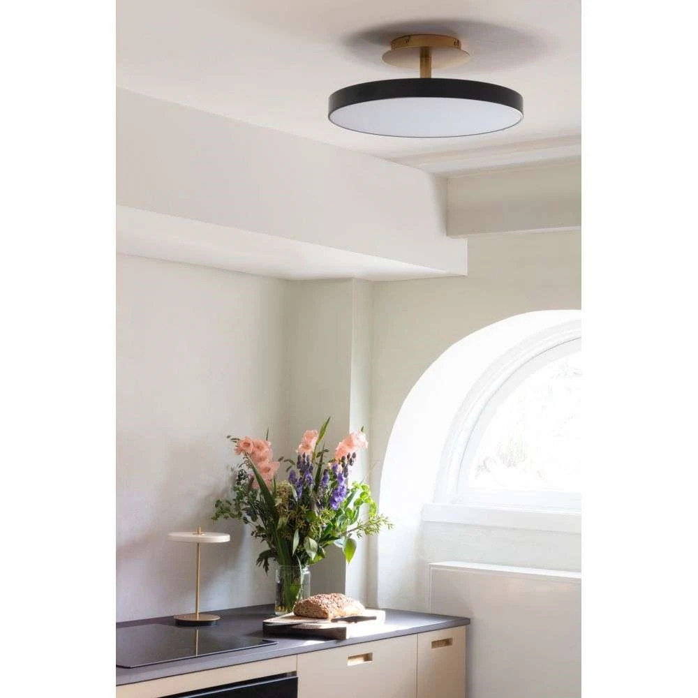 Asteria Up Lámpara De Techo Medium Anthracite - UMAGE 4 Asteria Up Lámpara De Techo Medium Anthracite - UMAGE - Imagen 4