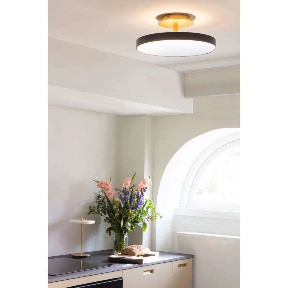 Asteria Up Lámpara De Techo Medium Anthracite - UMAGE 5 Asteria Up Lámpara De Techo Medium Anthracite - UMAGE - Imagen 5