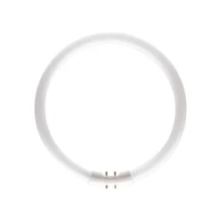 Bombilla 22W/830 TL5 Tubo Circular 2GX13 - Philips